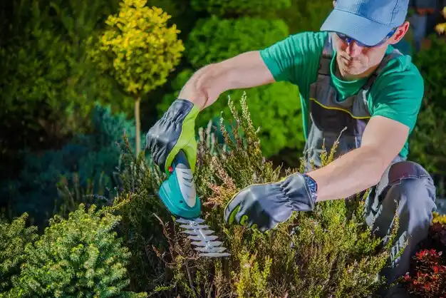 landscaping services Ferrysburg